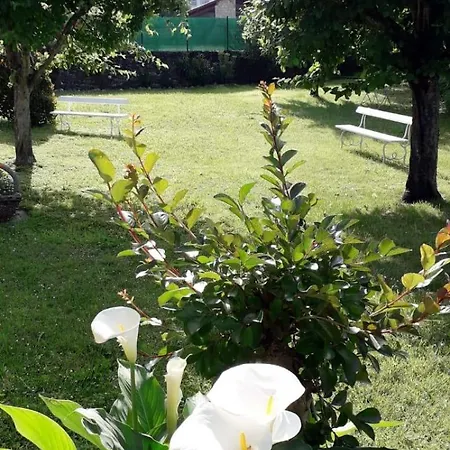 Maison Bidegain Berria Bed & Breakfast 3*