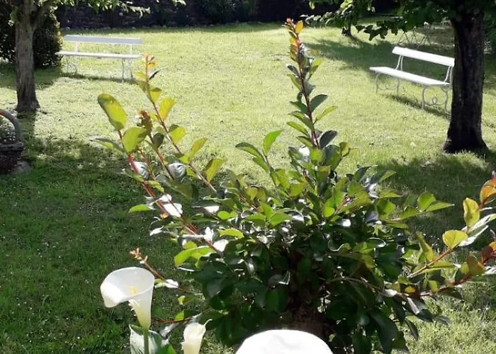 Maison Bidegain Berria Frühstückspension 3*